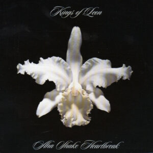 Aha Shake Heartbreak – Kings Of Leon